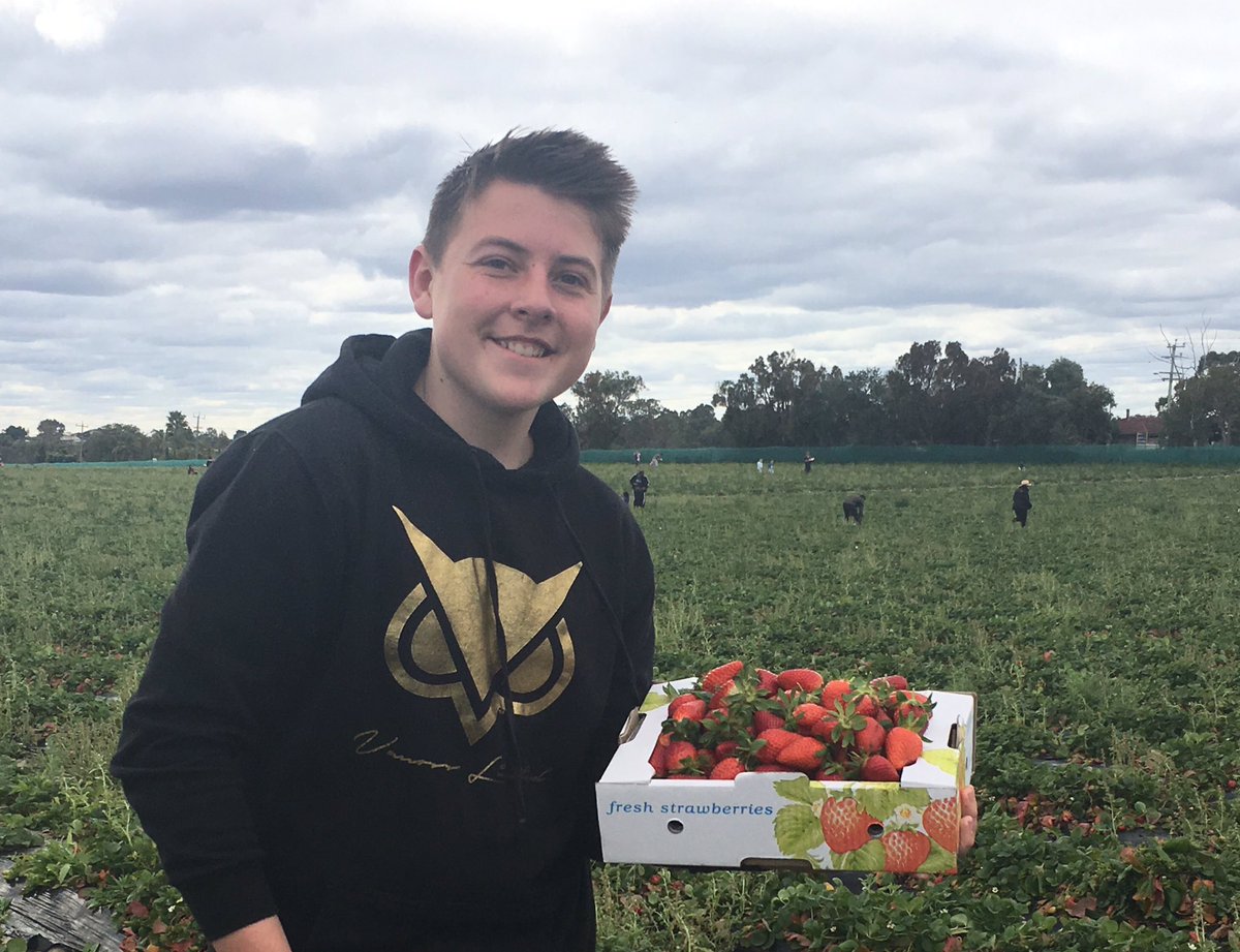 77Hawksley's tweet photo. Strawberry picking with the family today 🍓🍓🍓 https://t.co/2Cn5KwCpty