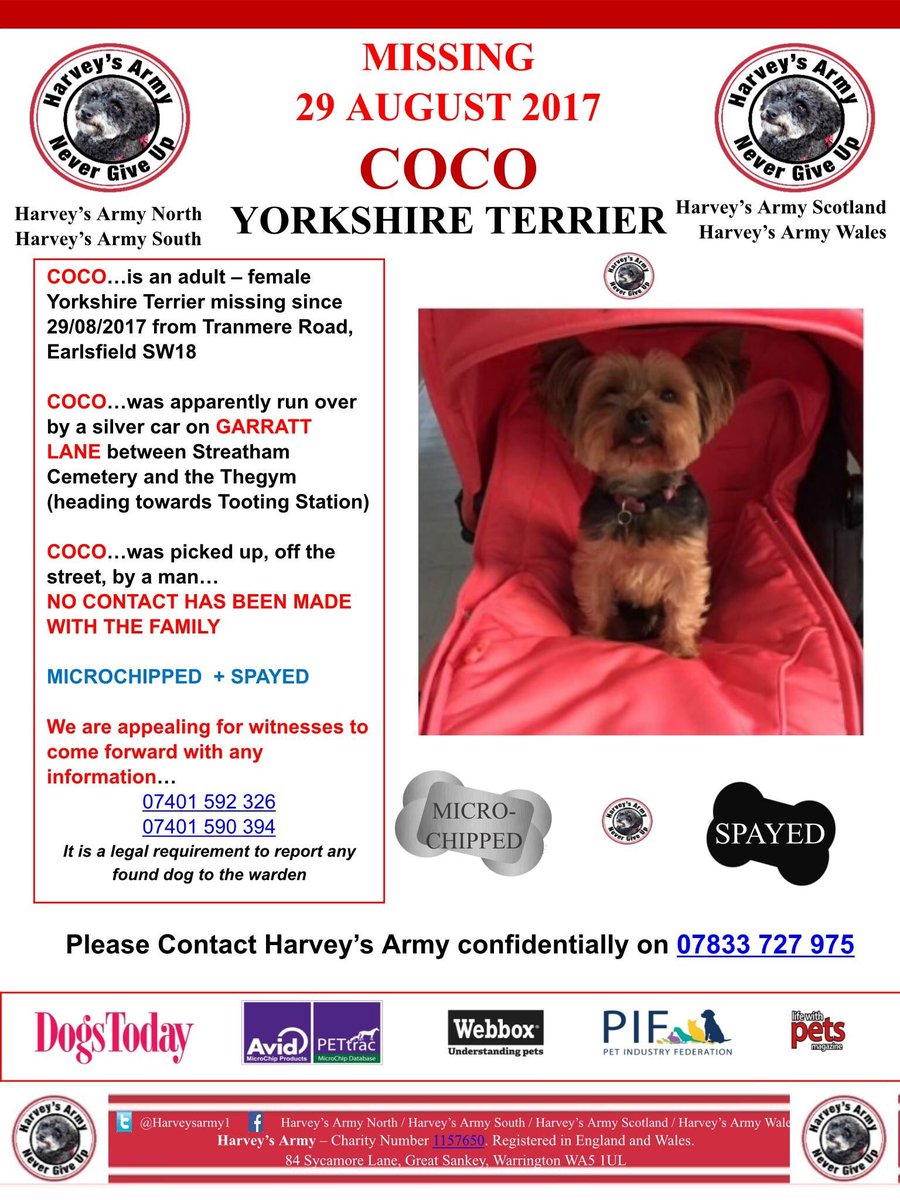 pk3x3x's tweet image. #missinglondon #yorkshireterrier @Harveysarmy1 @millypod1 @SAMPAuk_ @teresahugs @KeZa3