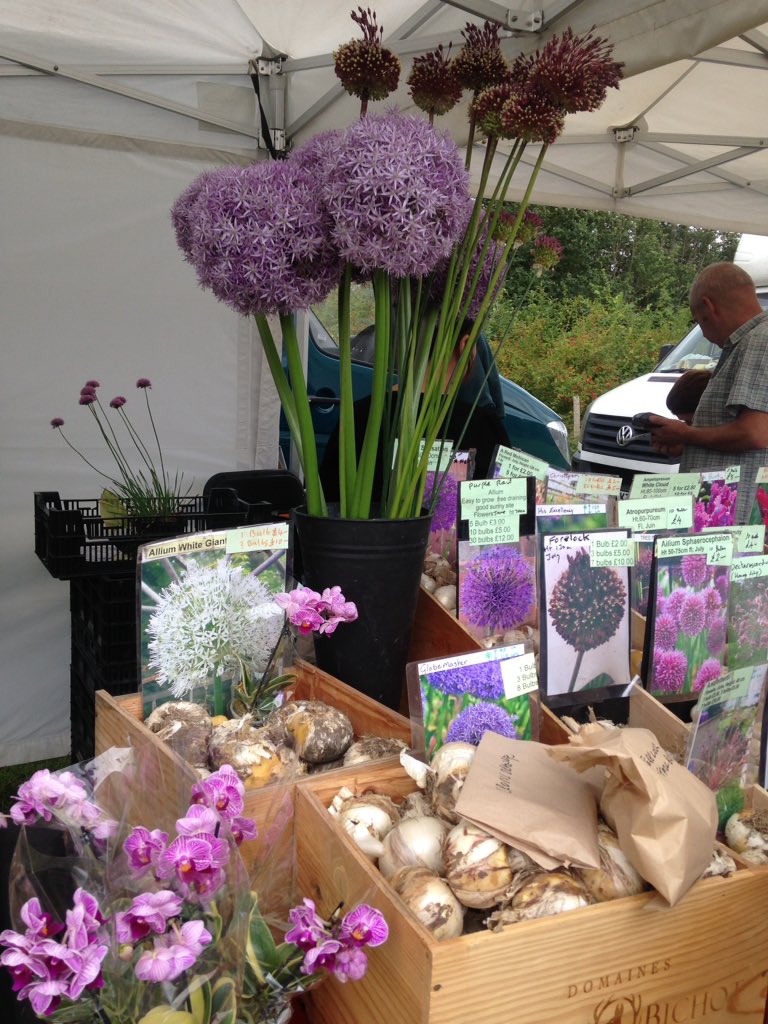 <a href="/The_RHS/">The RHS</a> <a href="/BrentfordFest/">Brentford Festival</a> <a href="/NorthfieldsAve/">Love Northfields</a> @SaveNFAllotment <a href="/bearcatquiz/">bearcatcomedy</a>