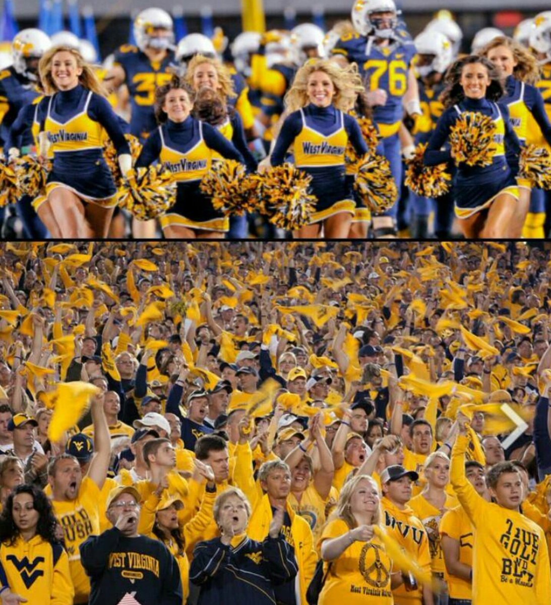 WVU Nation tweet media