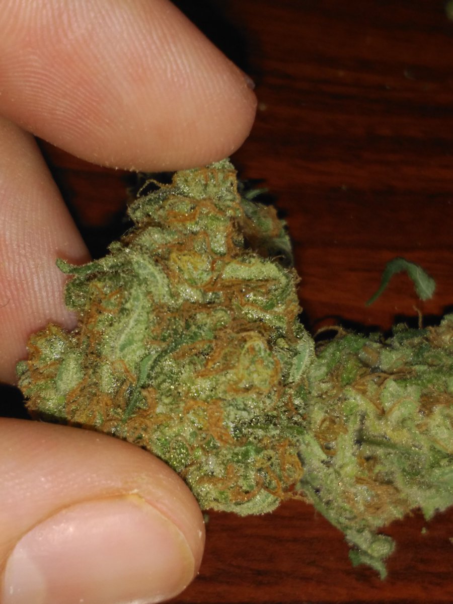Solo_Weed's tweet photo. Que no falte el de después comer.. #apestosahermosaysabrosa https://t.co/y8qBFVPv46