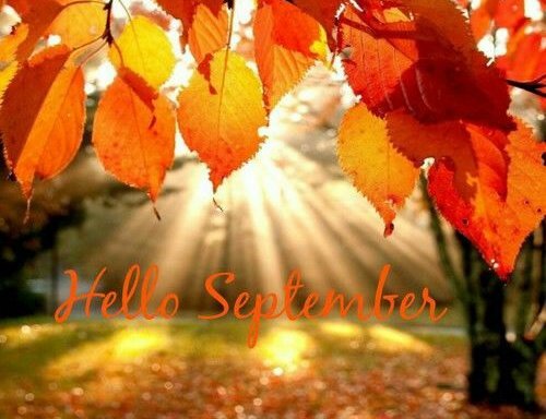 iamwilmaedic05's tweet photo. By all these lovely takens sept. days are here with summer best of weather and autumms fall coming
#113daystogo..before Christmas... https://t.co/MNBnl02IKQ
