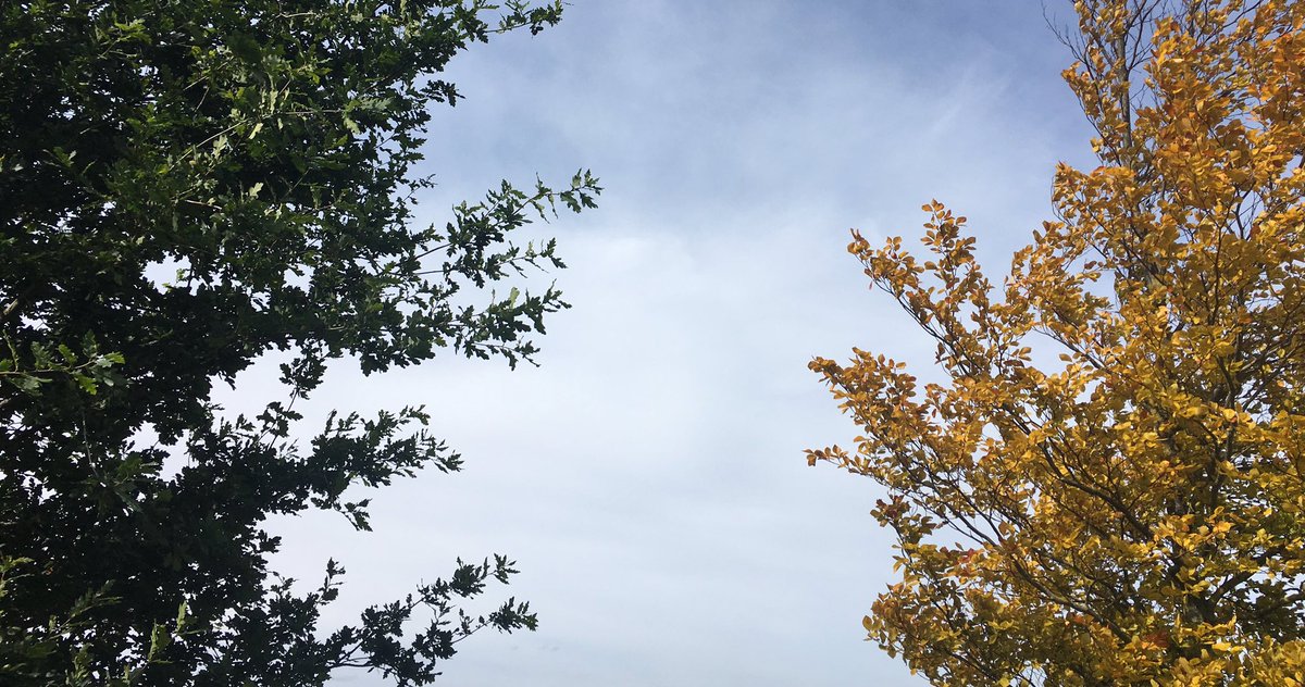 Ireland and the way she might look at ya. 🇮🇪