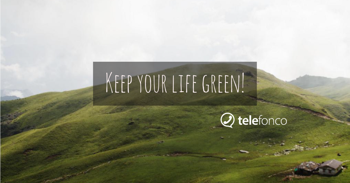 telefonco's tweet photo. Keep your life green! Take care of the environment that surrounds you! #Telefonco #nature #environment #green #climate #wecare #planetearth https://t.co/JSMvDVLMjH