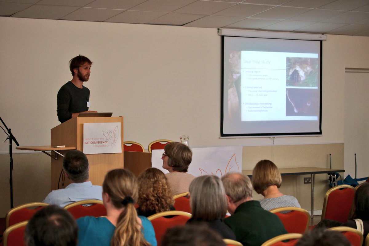 AutumnSwarming's tweet photo. The final talk at the #ASBatConf is by @DaanThekeuk who has been radiotracking Bechsteins caught at swarming sites
17/19 bats found again. https://t.co/UGqfkZ8KDa