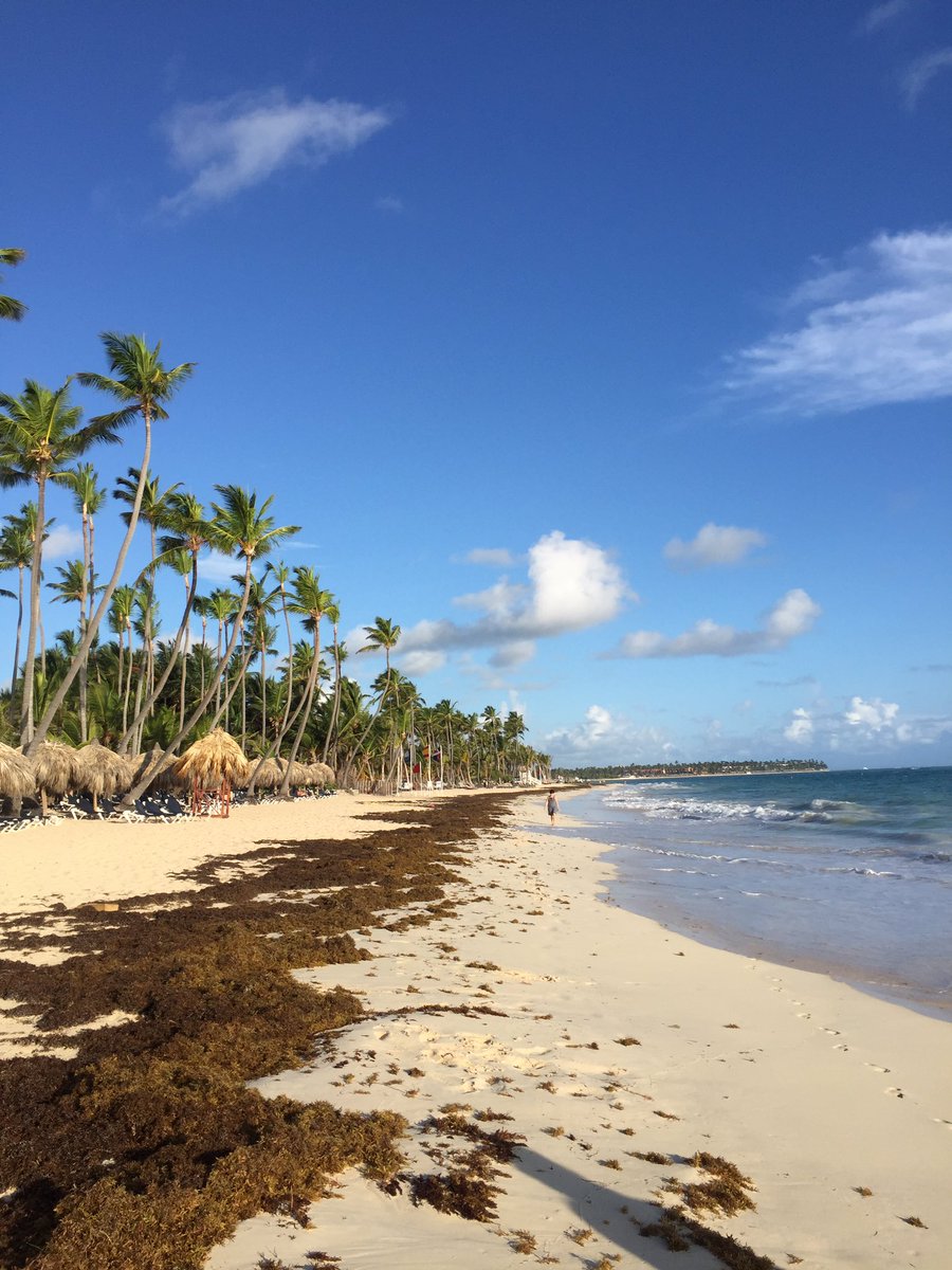 rociogs210's tweet photo. Feliz domingo 🌴🌴🌴🌴🌊🌊🐚🐚 https://t.co/ET7WFqH8IB