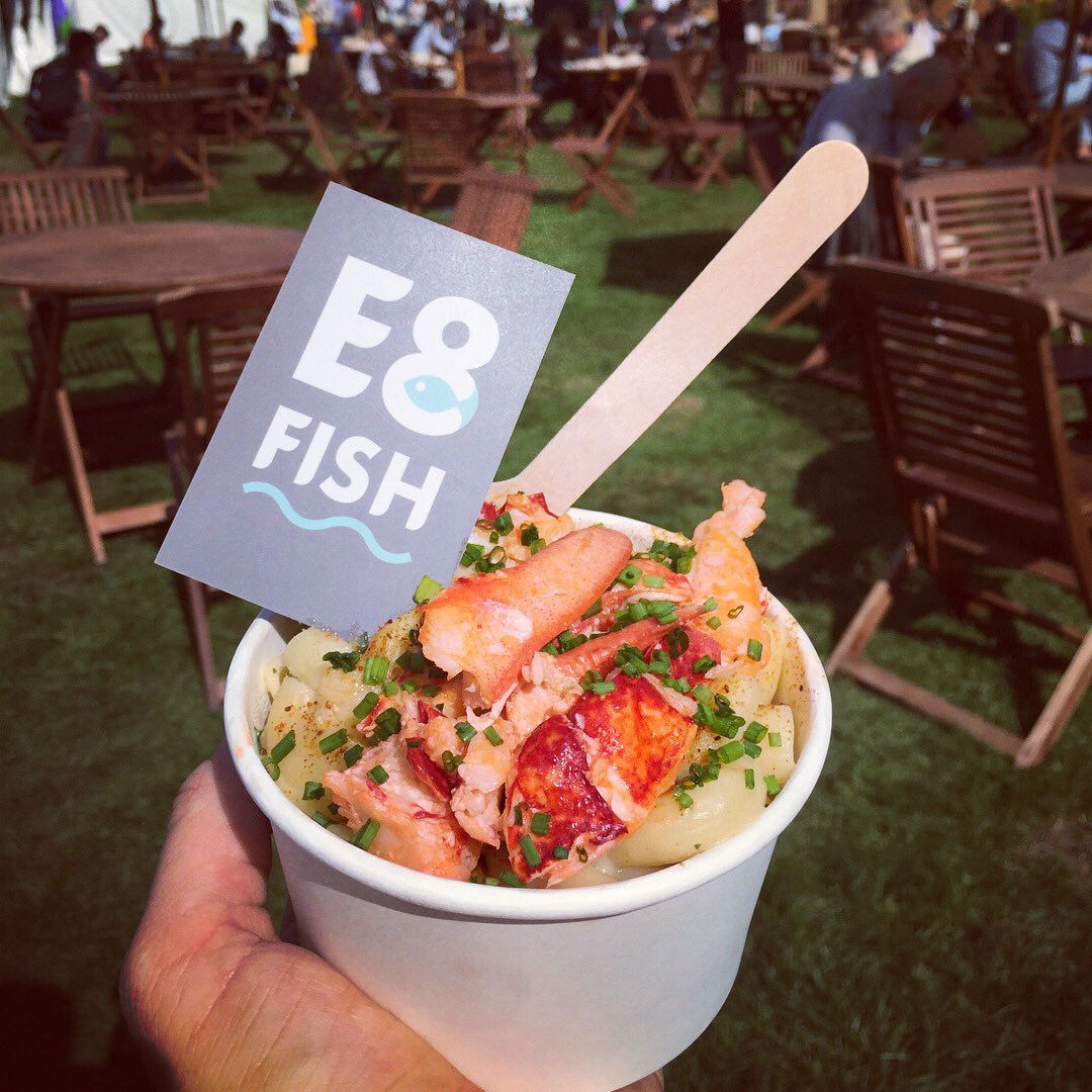E8 Fish tweet media