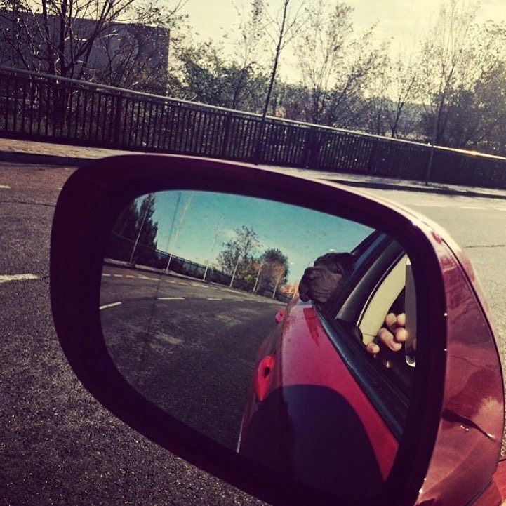 Natalia_NMS's tweet photo. Camino de vuelta, reiniciando... 👣🚘🐾 https://t.co/8ihQvpFU8w https://t.co/MaIIh0GG7J