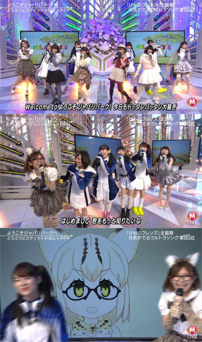 動画 Mステ ウルトラfes で どうぶつビスケッツ かばん Ppp With マーゲイ コツメカワウソ がけもフレopを披露 うっちー可愛いいいいい ラブライブ まとめちゃんねる