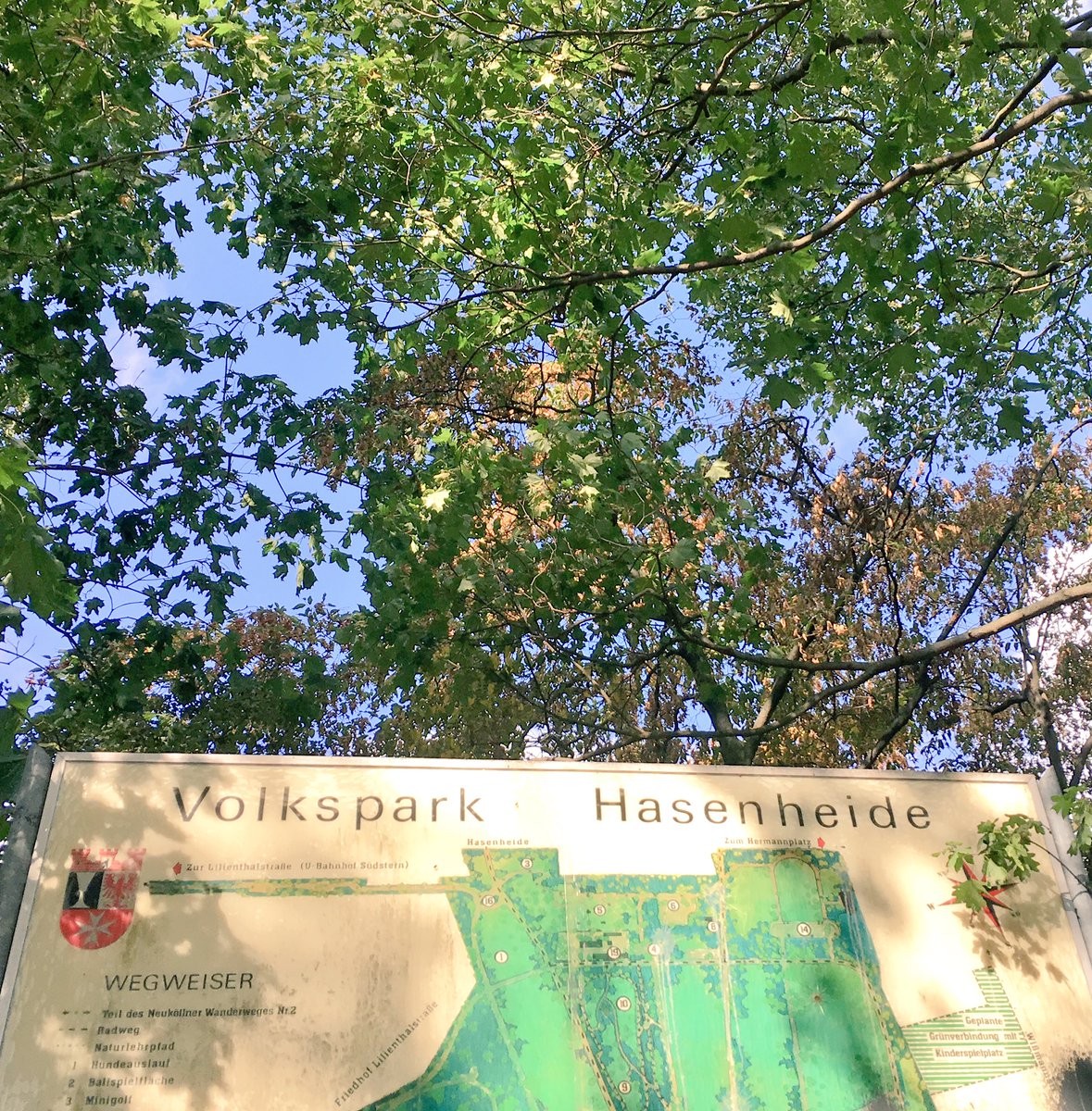 #Hellasgården #Stockholm 🇸🇪#Hasenheide #Berlin 🇩🇪#Hedianga #Pretoria #Gauteng Treasured spots of nature. Spring's here in 🇿🇦 #RightToRoam 🌿