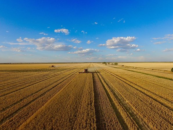 Get in quick-last chance to RSVP for our pre-harvest event in Boort tomorrow night!
vff.org.au/vff/Events/Eve…
