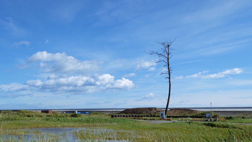 Uzivatel マーチbox365 Na Twitteru 台風一過の一本松 9月18日 右田 Photography Fukushima 南相馬市鹿島区 かしまの一本松 イマソラ 台風一過 Ftvみんなの天気 福島撮影隊 Uzivatel マーチbox365 Na Twitteru 台風一過の一本松 9月18日 右田 Photography Fukushima 南相馬市鹿島区 かしまの一本松 イマソラ 台風一過 Ftvみんなの天気 福島撮影隊