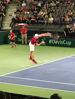 rlperry's tweet image. Enjoying watching Shapo in Edmonton