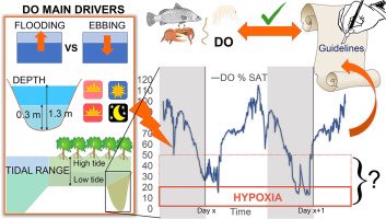 Have a look at our researchers' new paper on hypoxia in urban wetlands sciencedirect.com/science/articl…