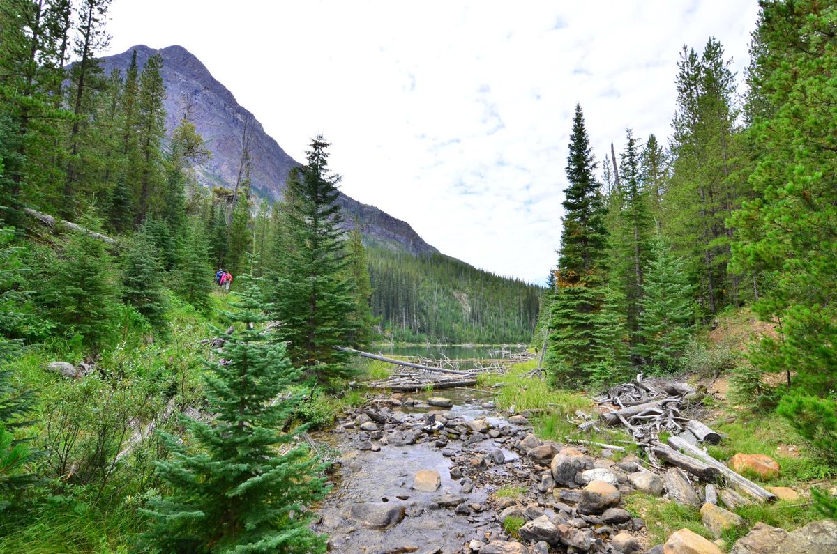  Hiking in Banff National Park DJ0Xc58X0AAuVMd