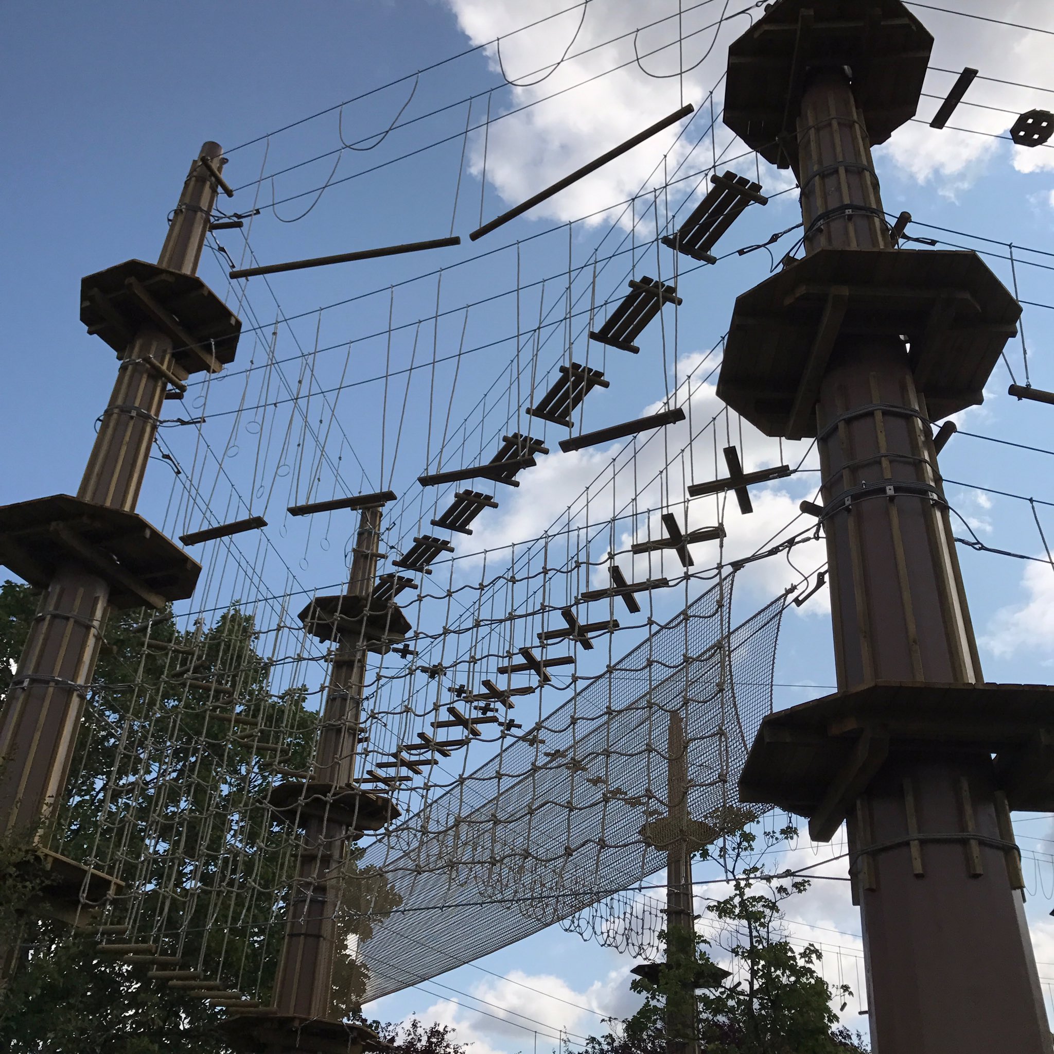 Go Ape Update The Build For Tree Top Adventure At Go Ape Alexandra Palace Continues Our Forest Doors Open This Autumn Keep Your Eyes Peeled T Co O3l340airh