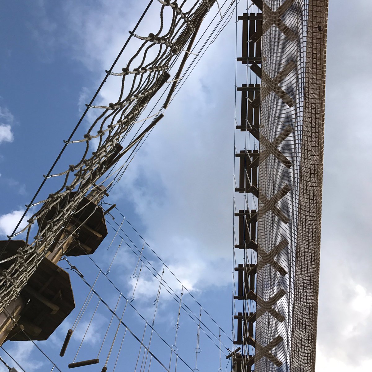 Go Ape Update The Build For Tree Top Adventure At Go Ape Alexandra Palace Continues Our Forest Doors Open This Autumn Keep Your Eyes Peeled T Co O3l340airh