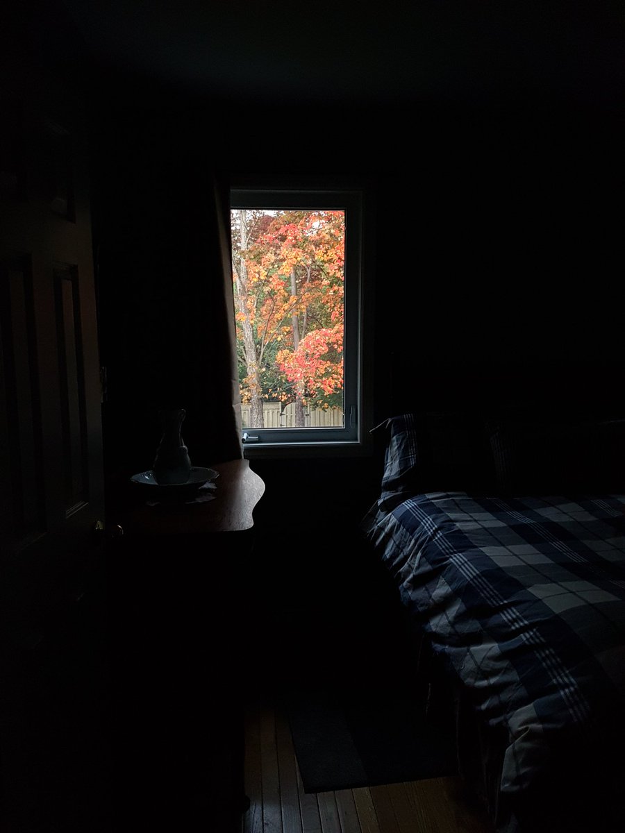 camera_beauty's tweet photo. Early mornings.🍁🌳🍂 #morninglight #fallleaves  #goodmorning #northbayontario #northernontario #sudburyphotographer #beautyandthecamera https://t.co/3c12OkXZf9