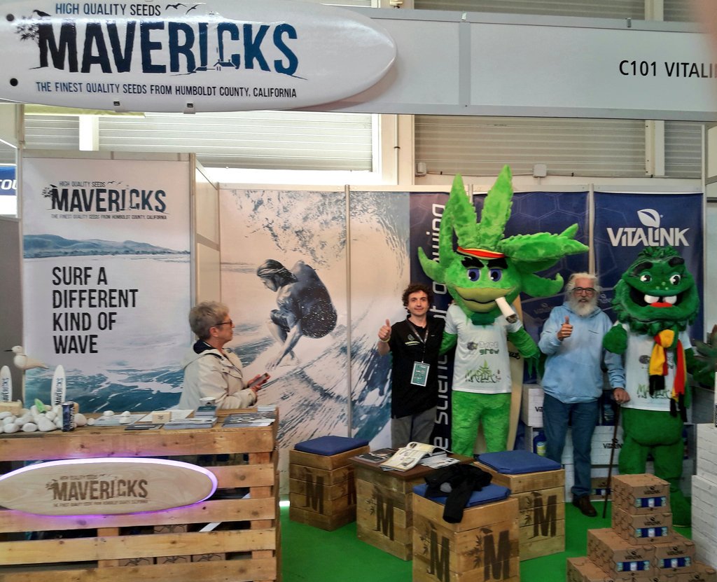 AdrycManellson's tweet image. Good Morning Aurora, Pleased to Read You this Saturday morning from Etxalar, near @expogrowirun with @MavericksSeeds Crew.
Peace and Seeds:)