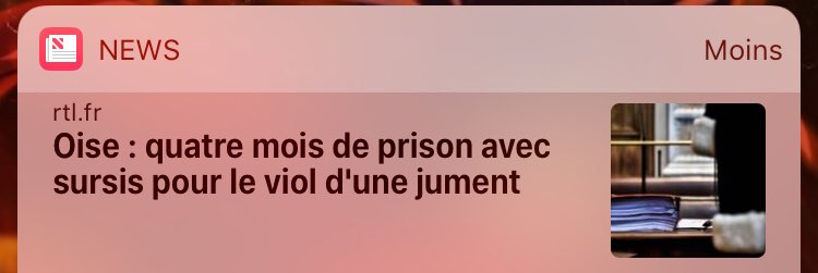 NonteDot's tweet image. Les gens qui font de l’équitation ça va trop loin...