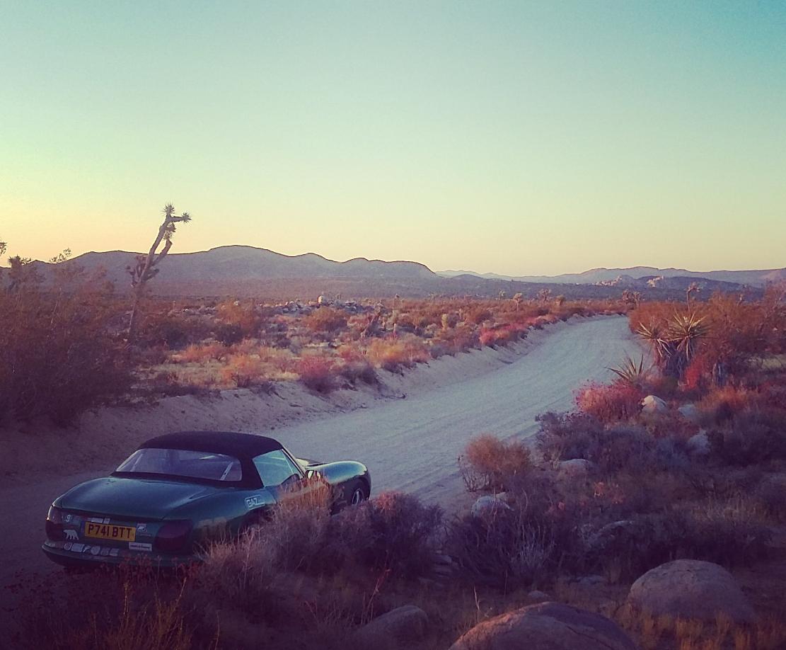 Pub2Pub_Ben's tweet photo. Exploring Joshua Tree in the #Pub2Pub #TVR Chimaera... https://t.co/fuVXP38lU3