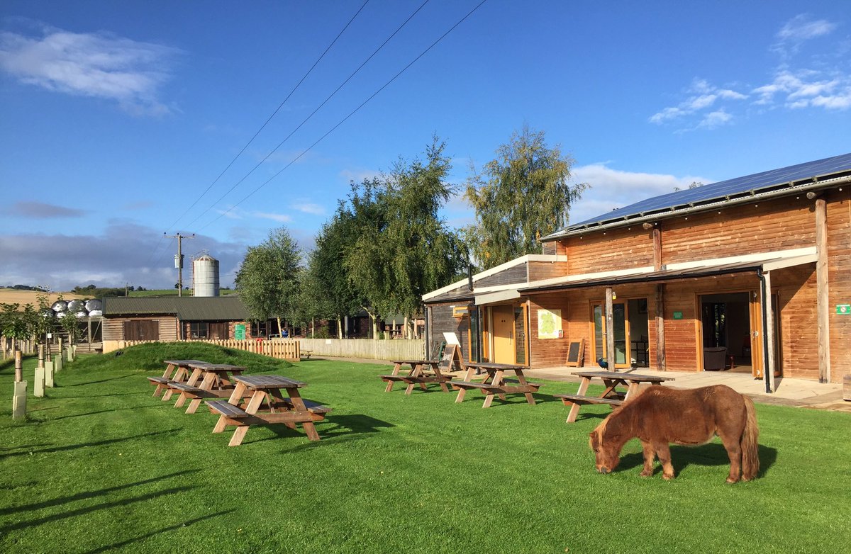 raysfarmpark's tweet photo. Peanut enjoying his morning walk. #freshair #countryside #feelbetter #meetanimals #bridgnorth #shropshire #raysfarm #lotsofanimals #coffee https://t.co/8muTUjDKrR