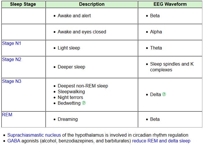 SEMDocs's tweet photo. Sleep Stages 
 #meded #sportsmedicine #MCCQE1 #USMLE #SEM #medbullets #hygiene #AMC #lifestylemedicine #EEG #neuroscience #medschool https://t.co/2LiCX4a3FL