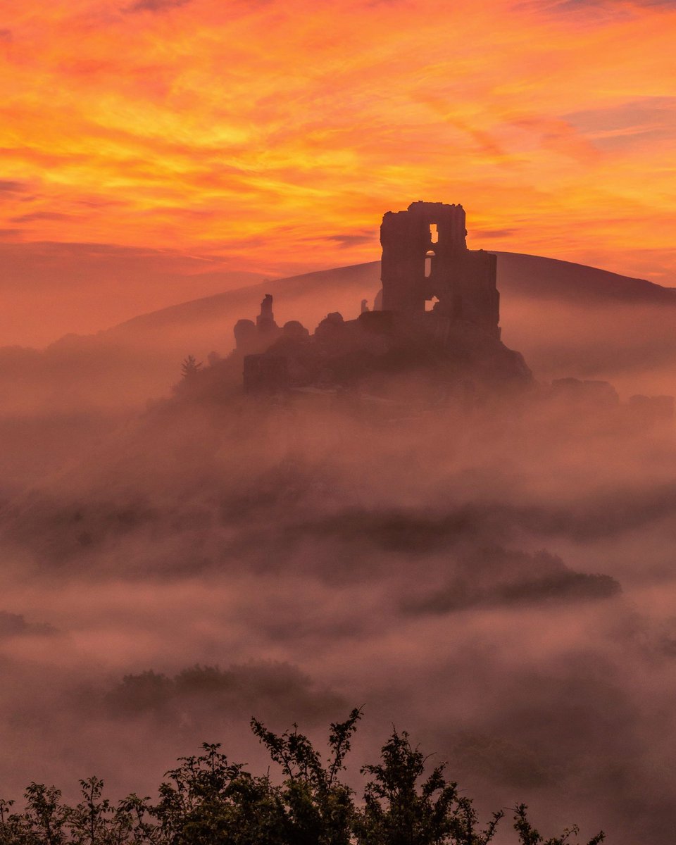 #corfecastle #nature #dorset <a href="/DorsetMag/">Dorset Magazine</a> <a href="/dorset_views/">dorset_views</a> @dorsetlandscape@DorsetExplore <a href="/AP_Magazine/">Amateur Photographer</a> <a href="/NatGeoPhotos/">Nat Geo Photography</a> <a href="/BBCDorset/">BBC Dorset</a> @BBCCountryfile