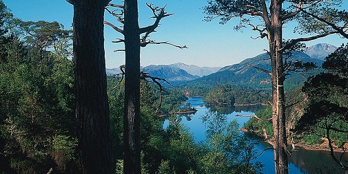 welcomescotland's tweet photo. Download the #FREE Welcome to Scotland App. It has over 20,000 places to stay, eat &amp; entertain you! https://t.co/zUghOO2faP #ScotSpirit https://t.co/CgH3d3t0P5