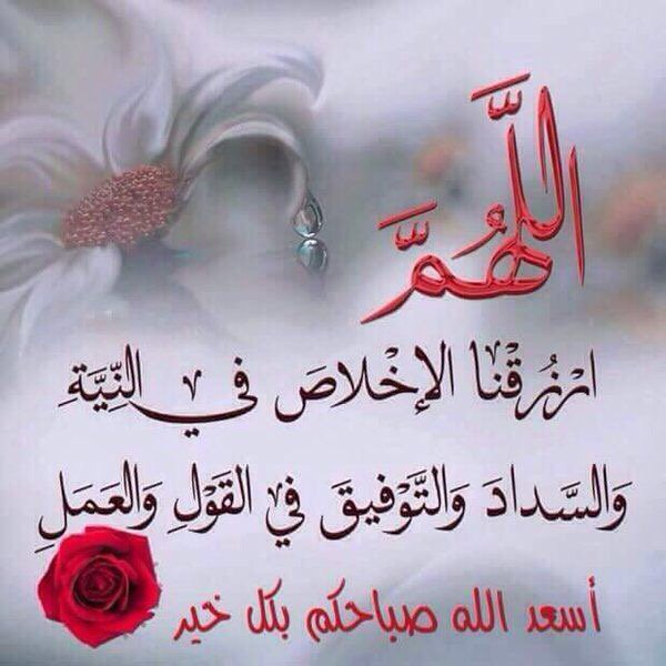 Bassem Bakri (@bakri_bassem) on Twitter photo 