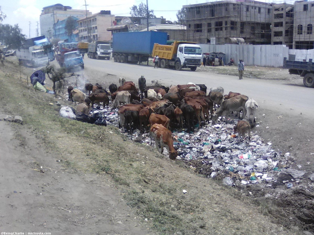 Ma3Route tweet media