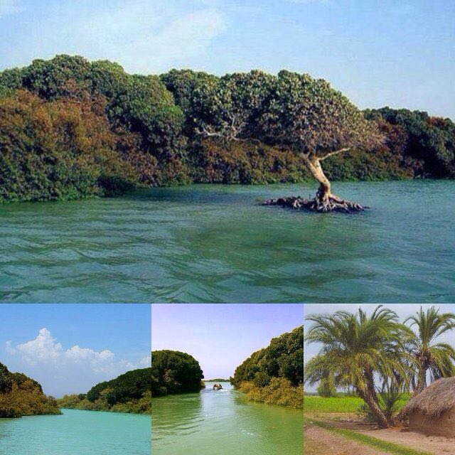 #جزيرة_كمران هي إحدى الجزر اليمنيه.تتبع جغرافيا لمحافظة  #الحديدة. يبلغ تعداد سكانها 3032 نسمة

#هويه_اليمن
❤️🇾🇪 #قروب_صنعاء_اليمن