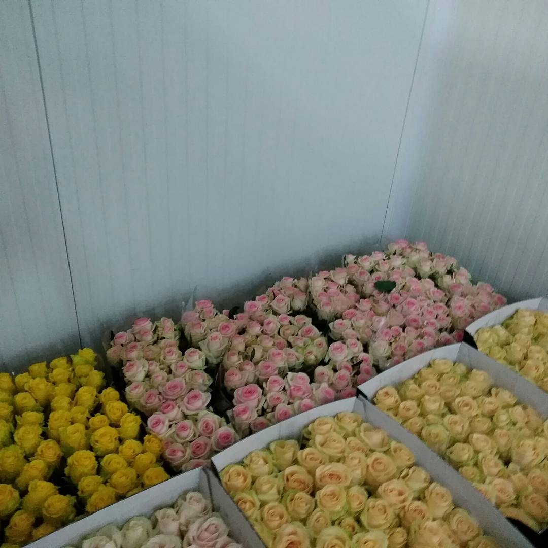 Danilo Cilia (@cilia_danilo) on Twitter photo 