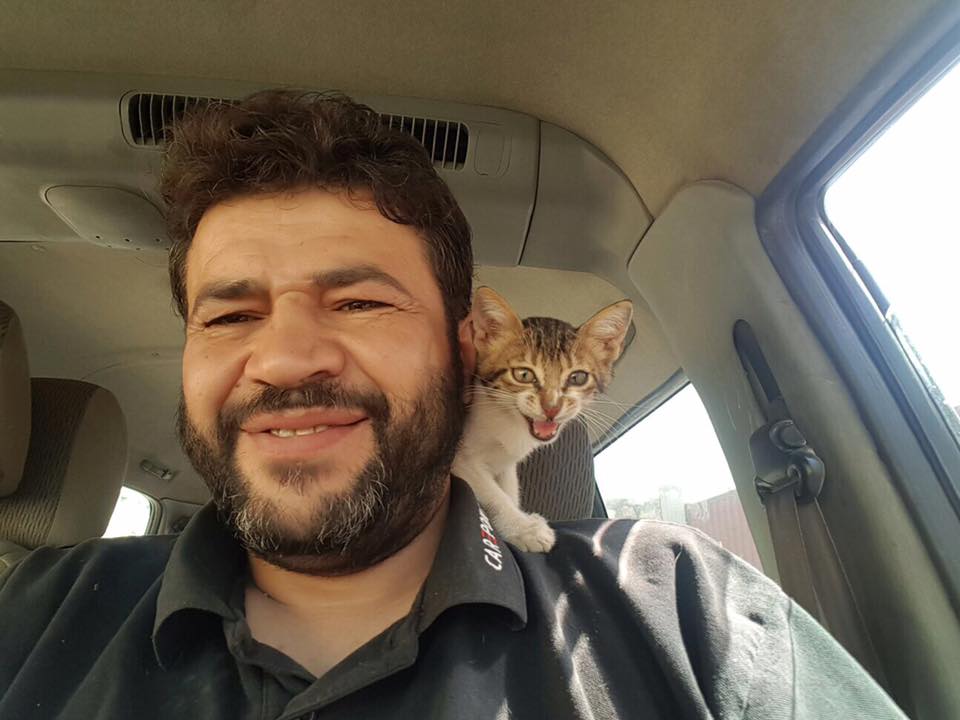 Hello from Mohammad Alaa and a rescued kitten 😻❤️
#thecatmanofaleppo #houseofcatsErnesto #rescuedkitten