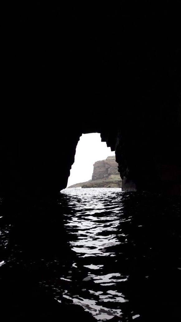 Wild Water Adventures tweet media