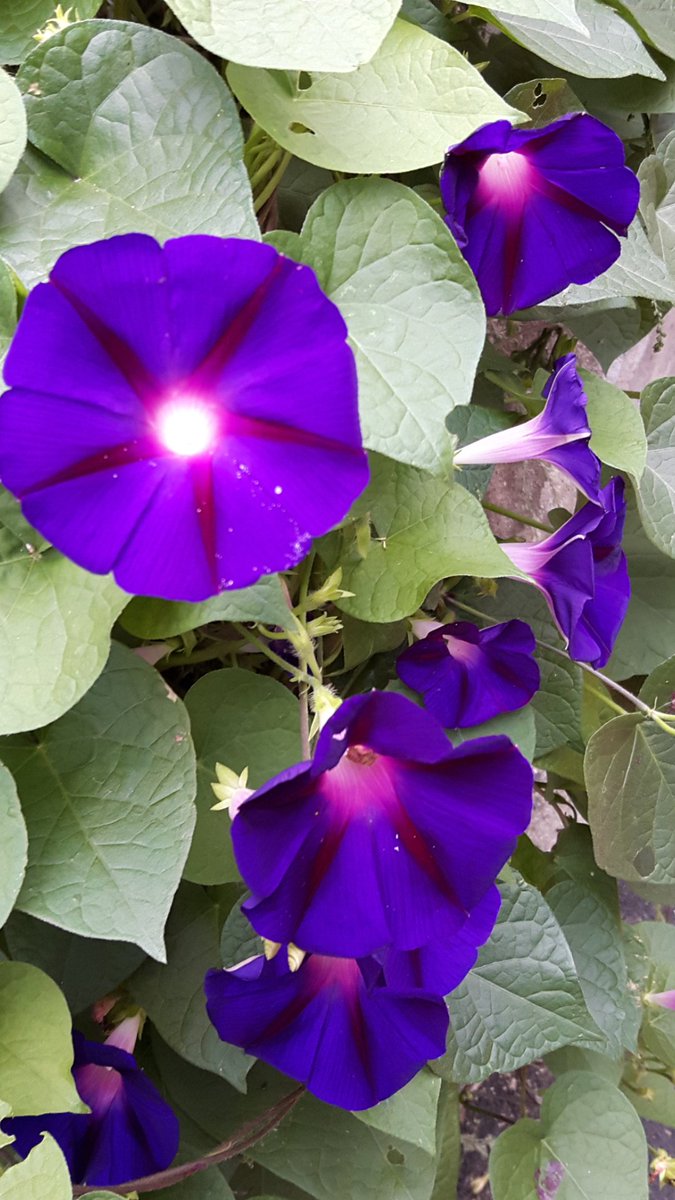 신천지는 참 신앙인의 길을 걷고 있을 뿐이다.
#반국가 #반사회 #반종교
cafe.daum.net/scjfamily2/3kP…