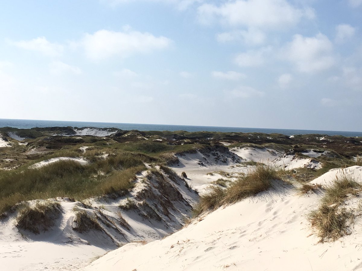 danipagano's tweet photo. #whitesand and ☀️ in #dueodde. A tropical corner in the #balticsea 🇩🇰🇪🇺 https://t.co/LwaW16Xmf2