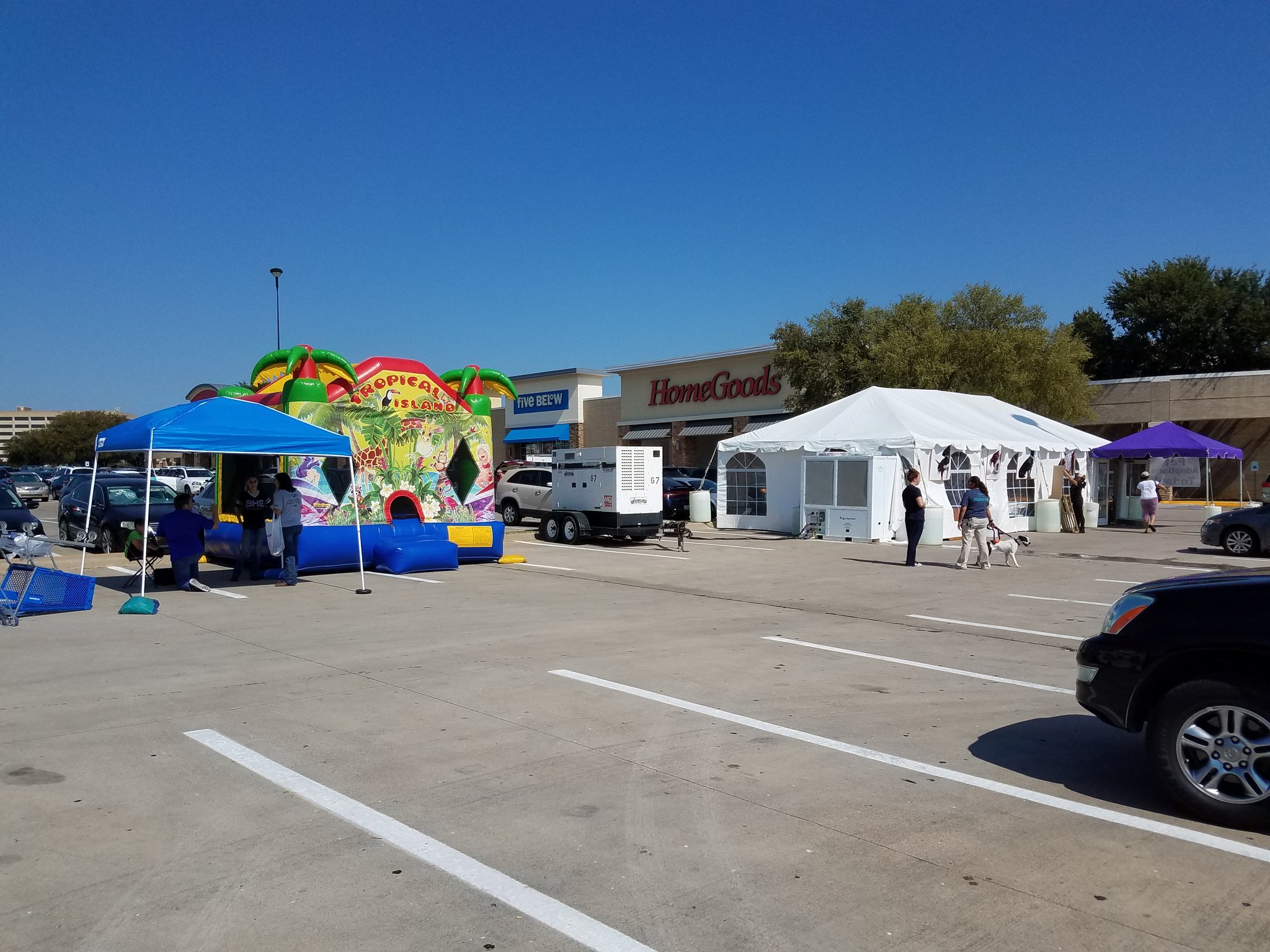 Hulen petsmart on sale charities adoption center