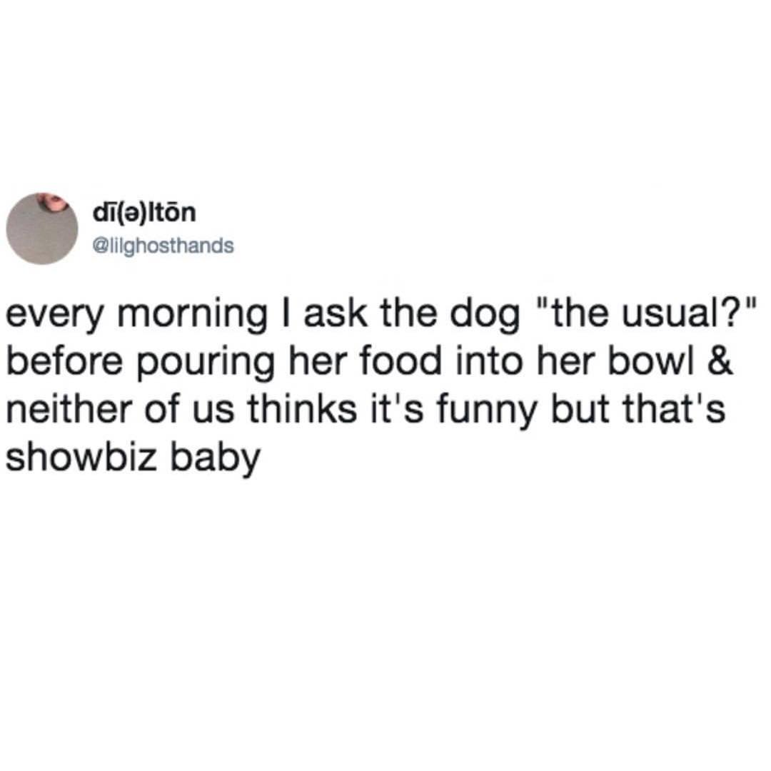 MensHumor's tweet photo. LMAO "that's showbiz baby" https://t.co/130pEyRlqc