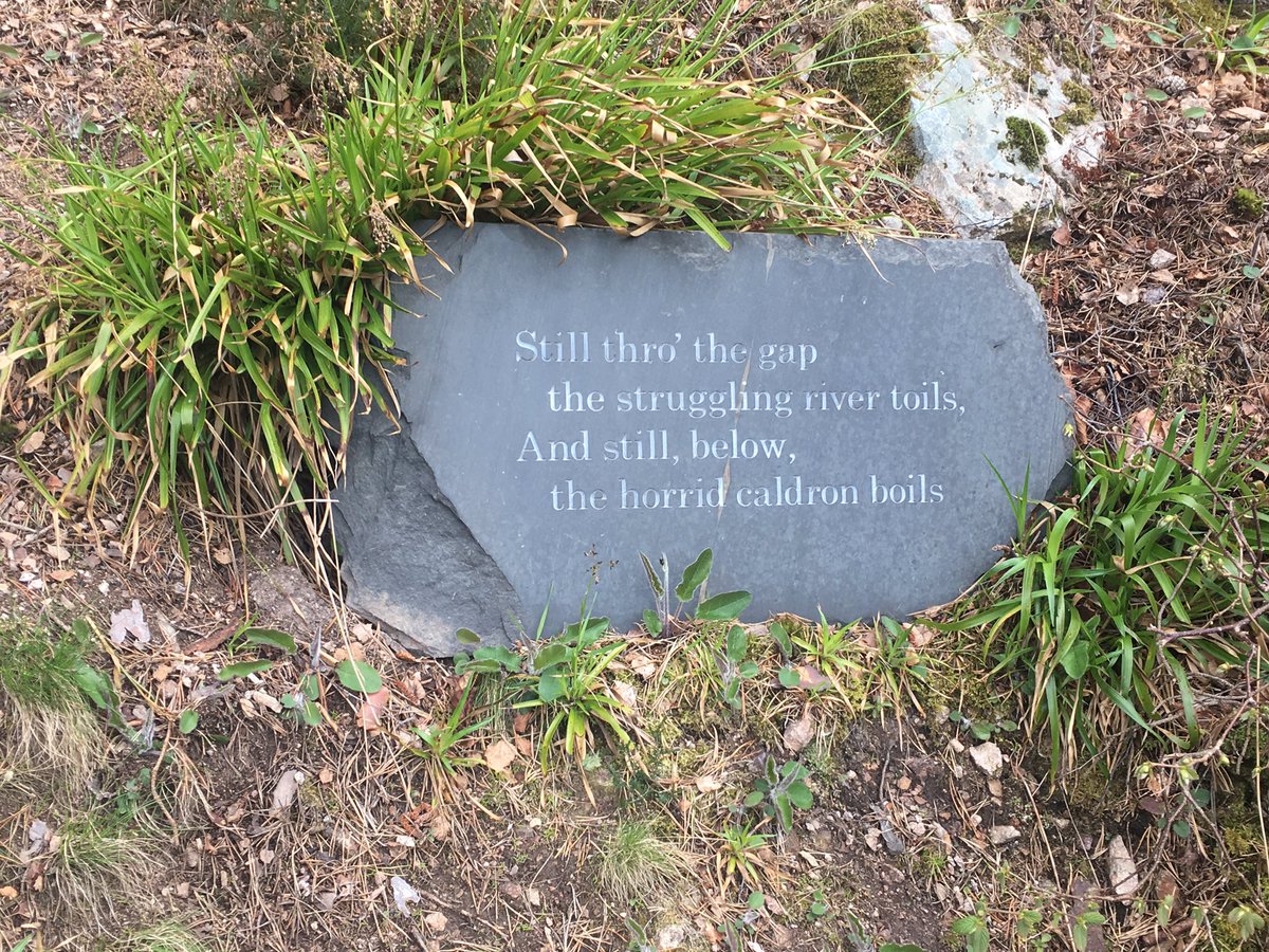 Erin Wilson (@ewilson_solasta) on Twitter photo 