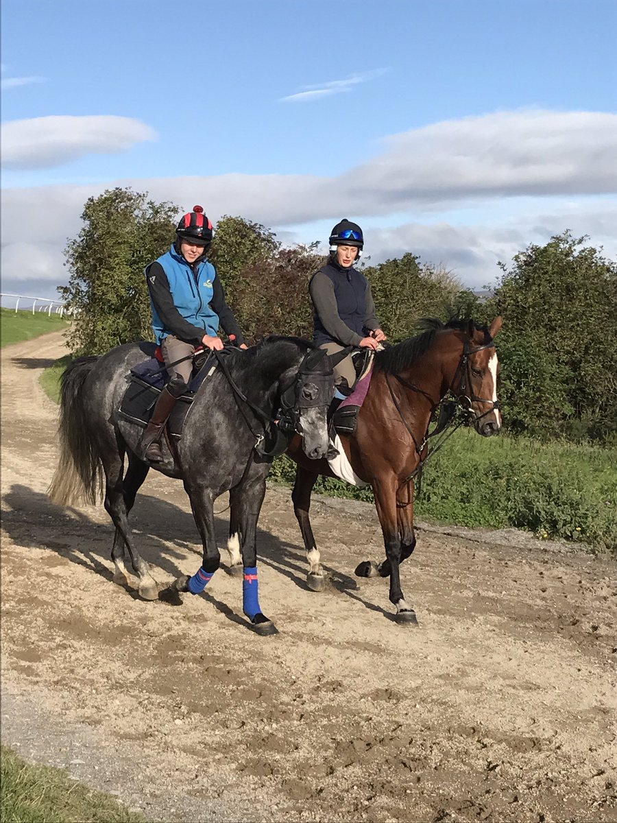 MHammondRacing's tweet photo. A great mornings exercise before the rain started #TeamMH #Saturday #GallopMorning https://t.co/VY4awYRMqo