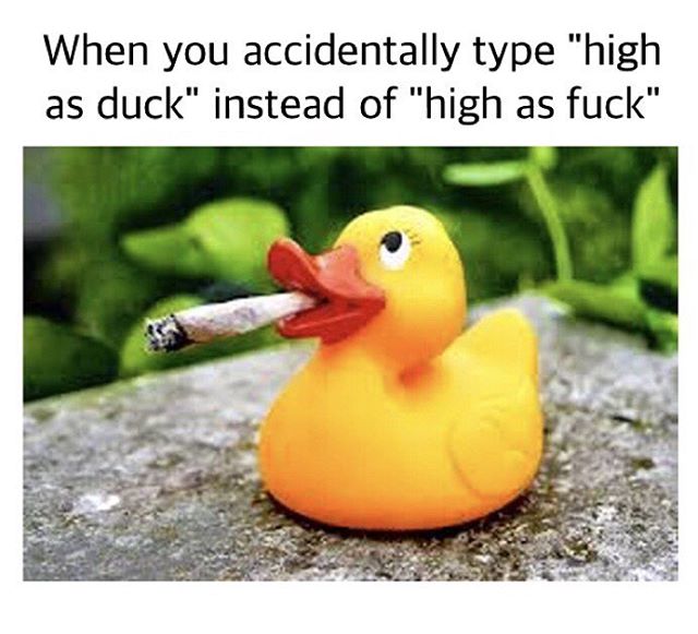 RedEyesOnline's tweet photo. When you accidentally type ''high as duck'' instead of ''high as fuck''
#HighAsDuck #REO https://t.co/ZH7s3bwnW9