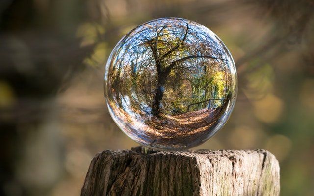 hetkanWel's tweet photo. Vind een #voedselbos bij jou in de #buurt: wij hebben ze allemaal voor je op een rijtje gezet: https://t.co/FhkKiaBLXW #diy #voedsel #bos https://t.co/xiYfinExee