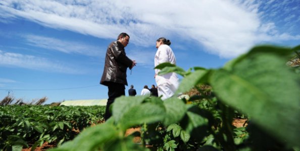 #GlobalGoals, Med action: at the #UfM, we too seek to achieve food security joining forces w/ organisations such as <a href="/CIHEAM/">CIHEAM</a> #UNGA #SDG2 ✅
