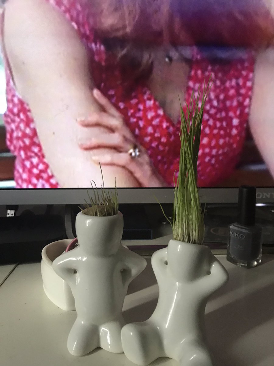 Avant Château d'Eau VS après... 🤣🤣🤣🖖🏾 #AutoDérision #Groot <a href="/flyingtigerfr/">Flying Tiger France</a>