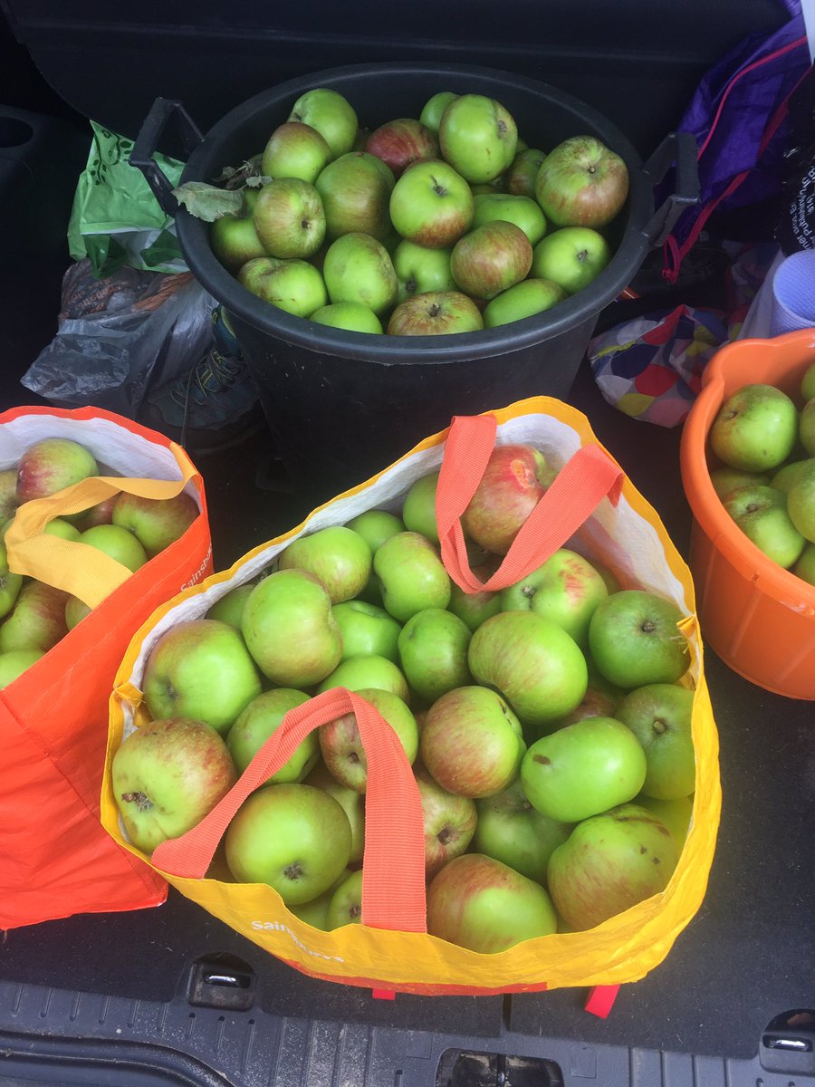 NDJ123's tweet photo. Apples from my tree + those nice chaps at Pilango = Cider #liberated @pilangocider https://t.co/KCZgeH4mri
