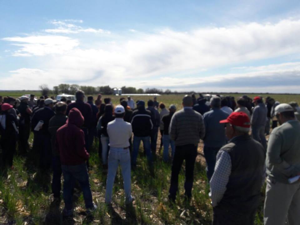 Jornada de Agricultura en Don Andrés 
Tilisarao

INTA-UNSL-CREA

<a href="/RobertoVinuesa/">Roberto Vinuesa</a> <a href="/bongiovanniagro/">BONGIOVANNI AGRO SRL</a> @ing_mibarra