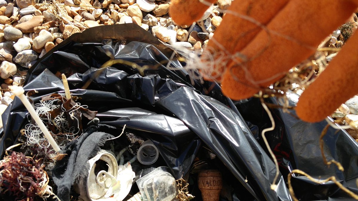 Straws suck (@strawssuck_uk) on Twitter photo Fantastic beach clean with <a href="/mcsuk/">Marine Conservation Society</a> and the lovely people of #brighton Fantastic beach clean with <a href="/mcsuk/">Marine Conservation Society</a> and the lovely people of #brighton