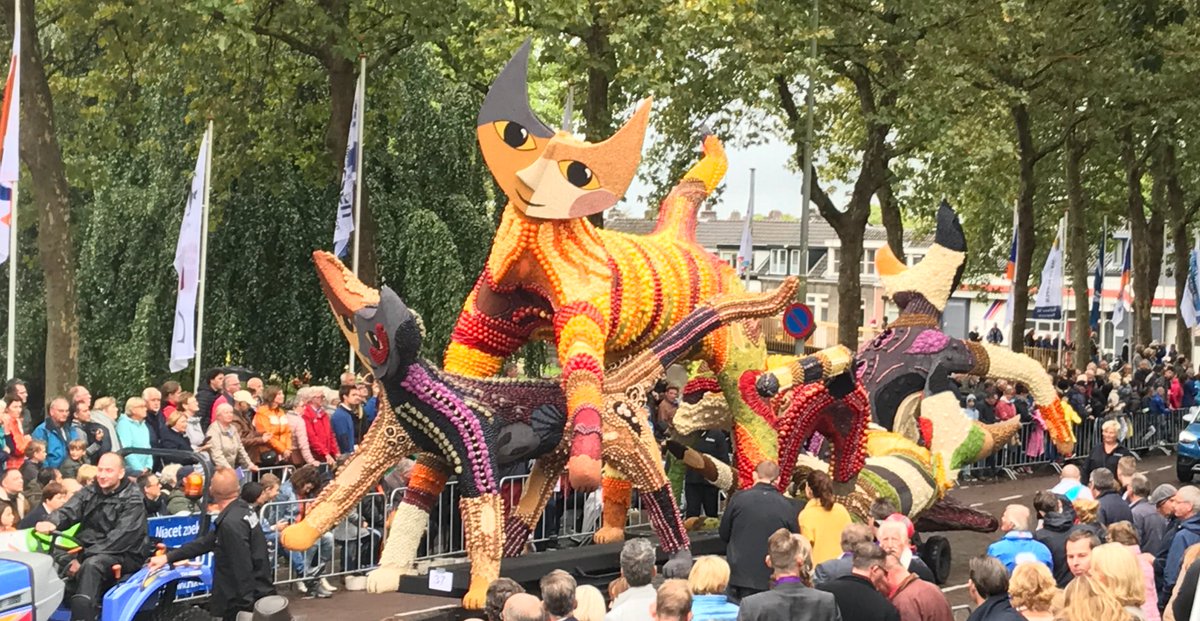 #fruitcorso #zoelen heel vrolijk!