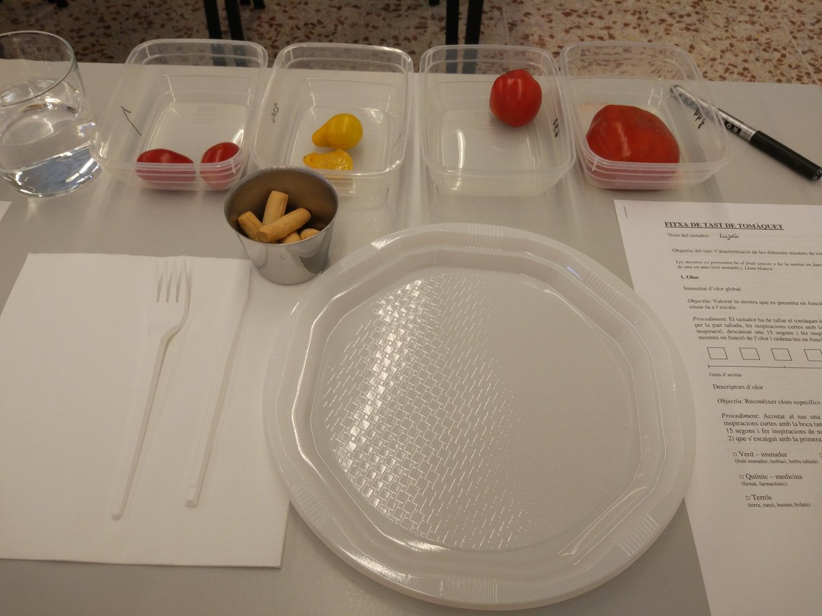 Luján Fernández tweet media